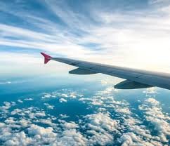Ekta Traveling Oppdag Verden med Oss 749430520