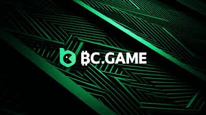 The Importance of Understanding the BC.Game Privacy Policy
