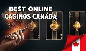 What is the Best Online Experience Discover the Top Choices What is the Best Online Experience Discover the Top Choices